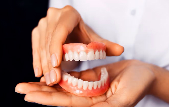 Hands holding dental model displaying white teeth and red gums against white background.